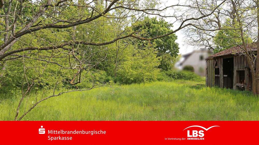 Thumbnail-Grundstück zu verkaufen in Kotzen 99.000,00 € 9516 m²