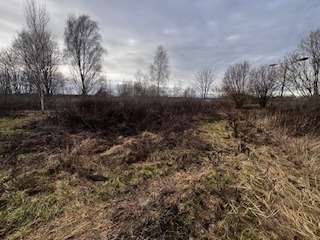 Thumbnail-Grundstück zu verkaufen in Heidesee 4.500.000,00 € 30000 m²