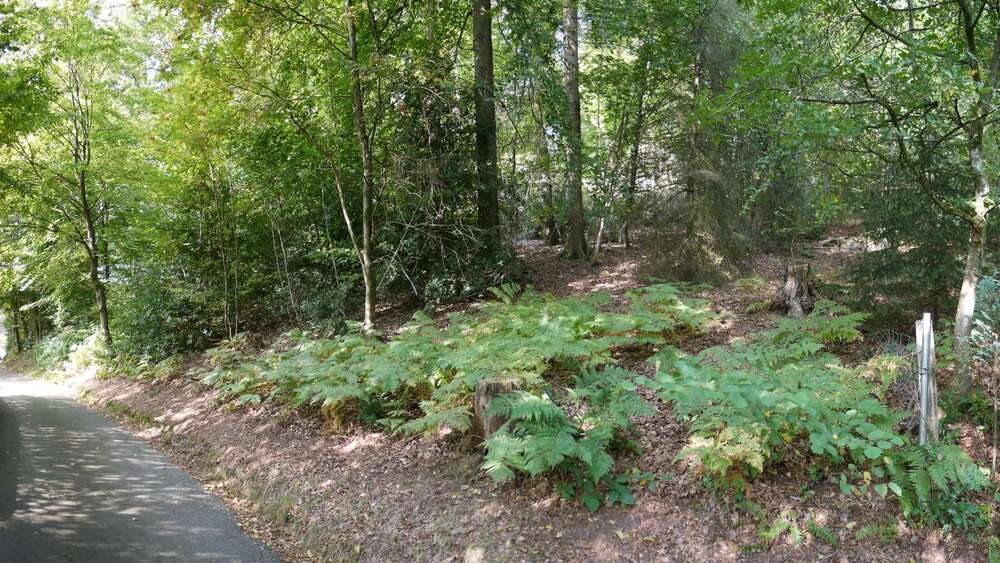 Thumbnail-Grundstück zu verkaufen in Gummersbach - Wasserfuhr 174.000,00 € 2447 m²