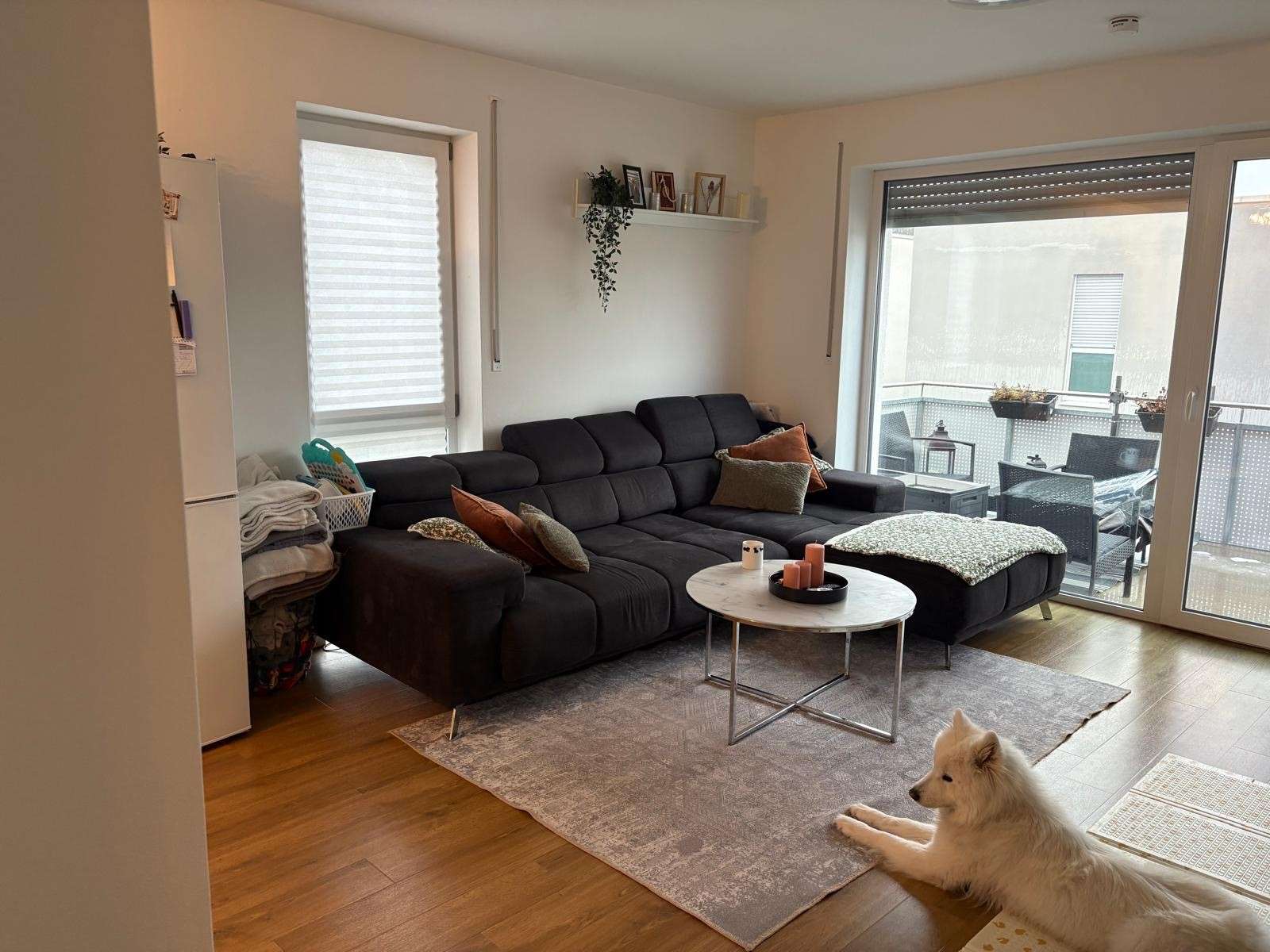 Thumbnail-Wohnung zum Mieten in Regensburg 975,00 € 71.62 m²