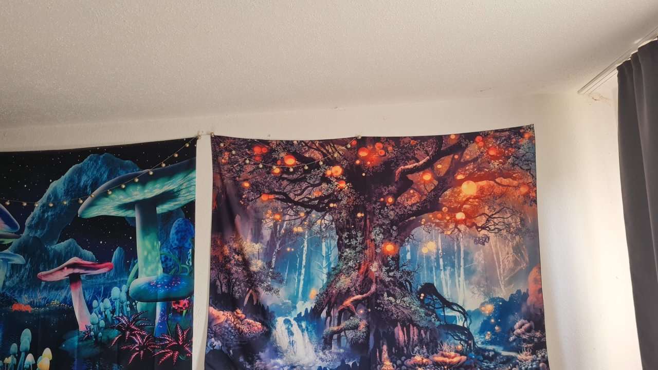 Thumbnail-Wohnung zum Kaufen in Loxstedt 52.000,00 € 36.4 m²