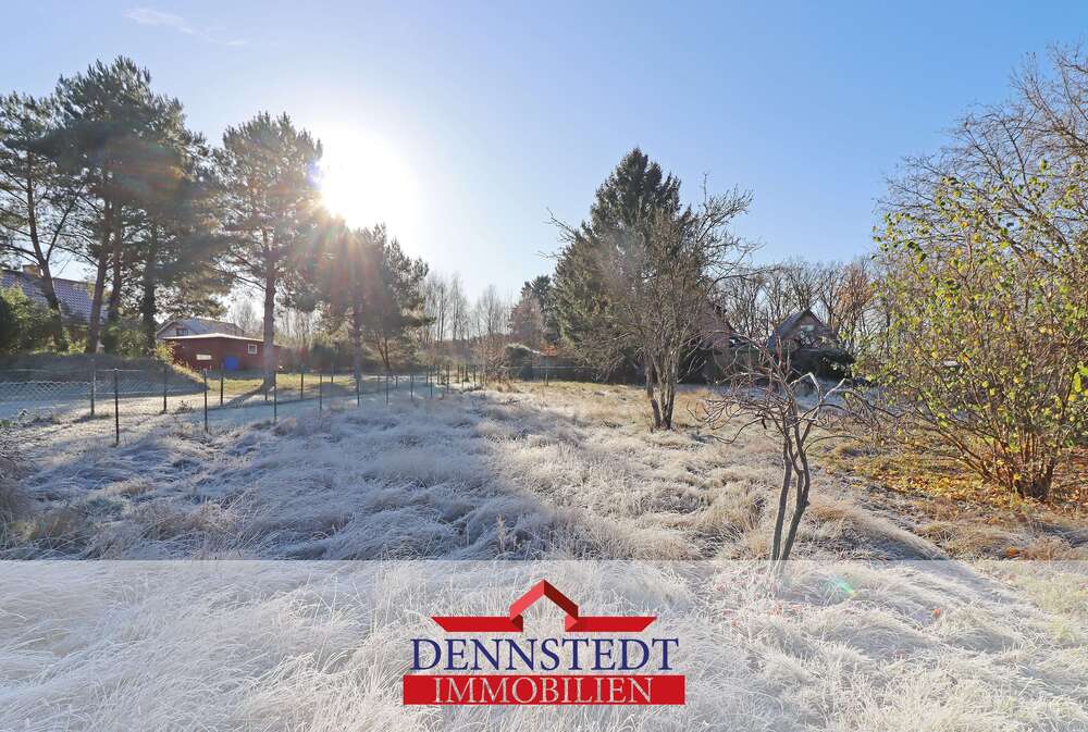 Thumbnail-Grundstück zu verkaufen in Neu Darchau 50.000,00 € 1810 m²