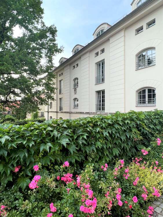 Thumbnail-Wohnung zum Mieten in Dresden 1.377,00 € 162 m²