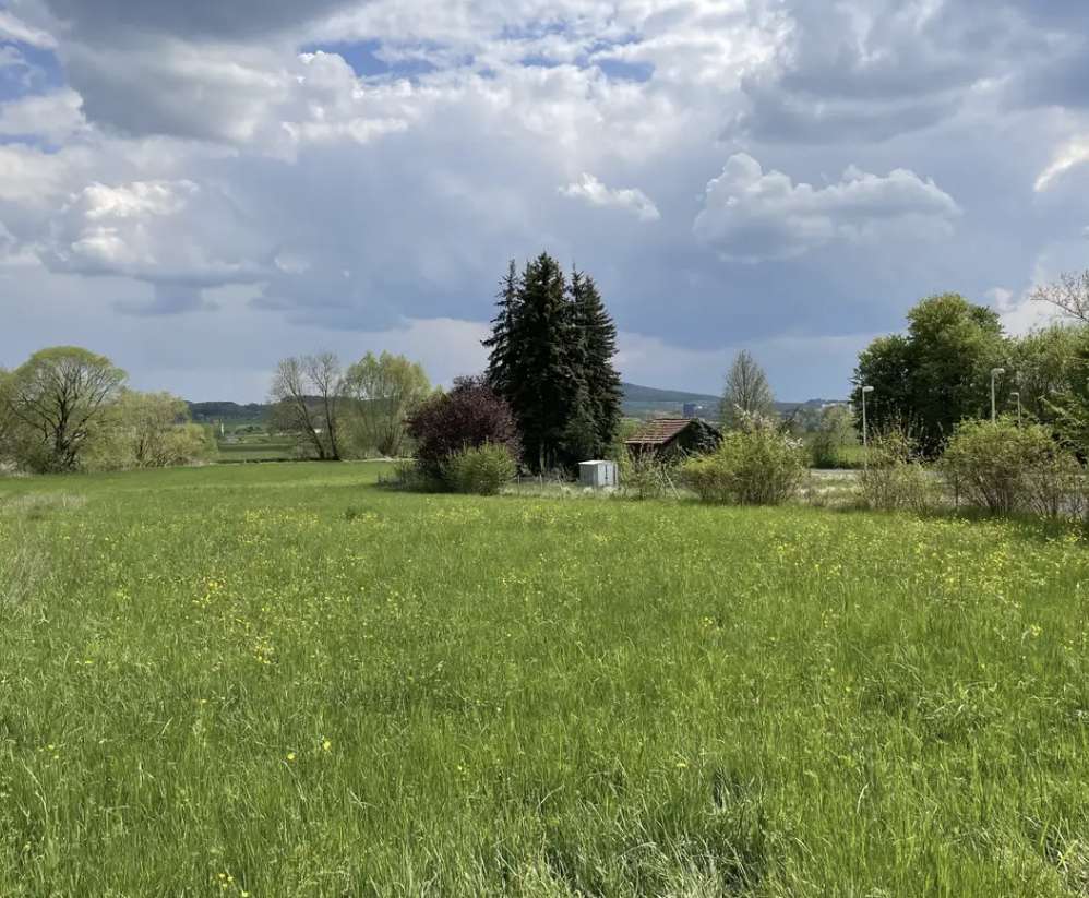 Thumbnail-Grundstück zu verkaufen in Adelsdorf 98.500,00 € 740 m²