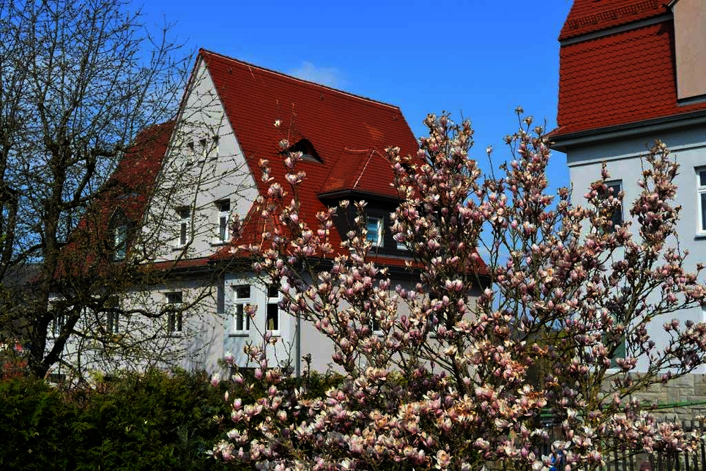 Thumbnail-Wohnung zum Mieten in Meiningen 355,00 € 58.8 m²