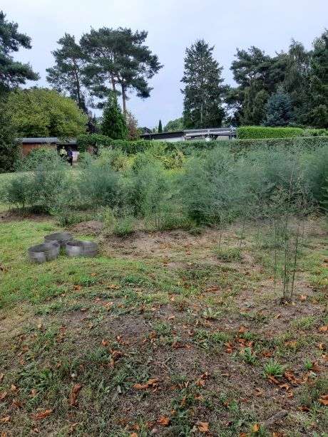 Thumbnail-Grundstück zu verkaufen in Ludwigsfelde 199.900,00 € 499 m²