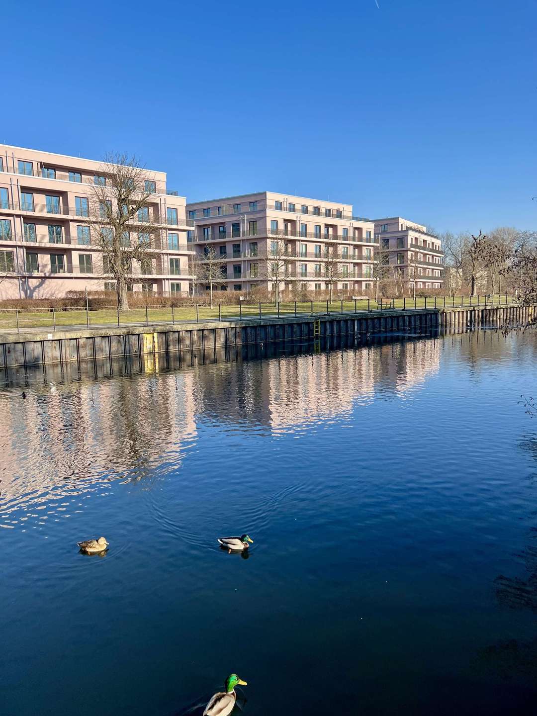 Thumbnail-Wohnung zum Mieten in Berlin 1.212,00 € 51.57 m²