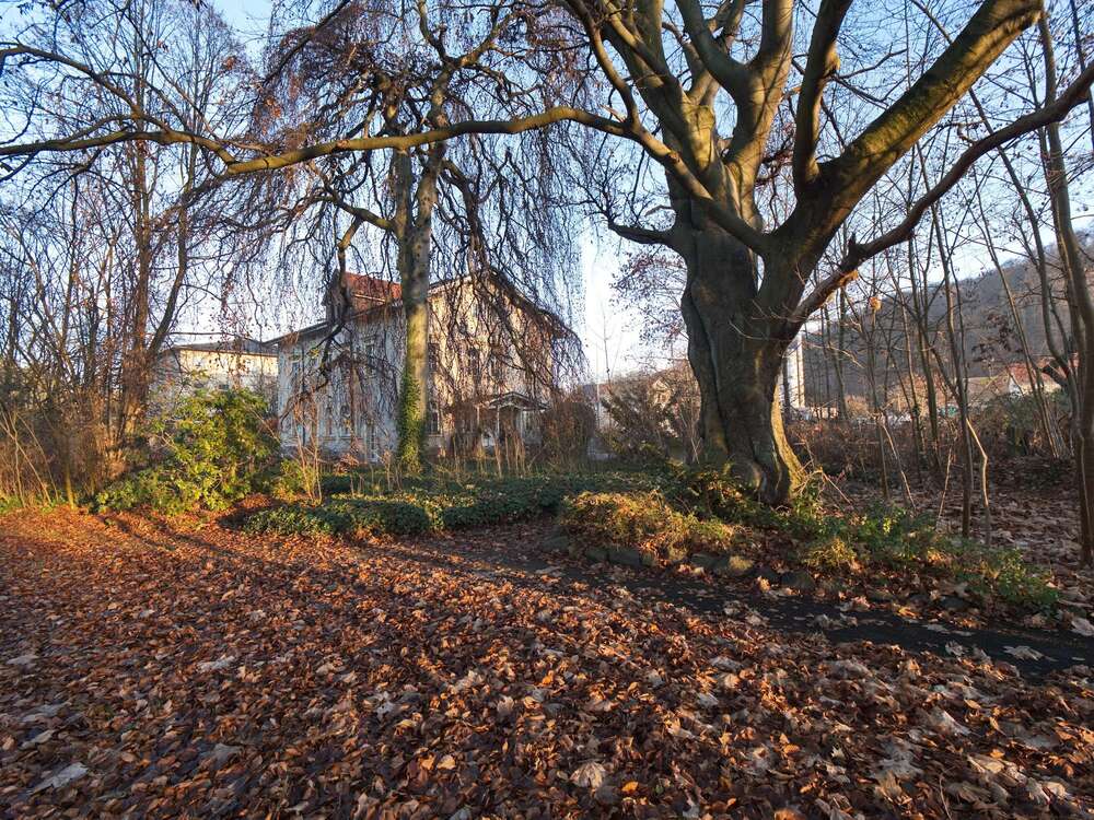 Thumbnail-Haus zum Kaufen in Freital 539.000,00 € 419 m²