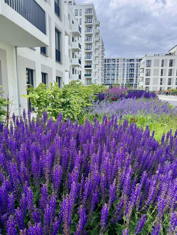 Thumbnail-Wohnung zum Mieten in Berlin 918,00 € 35.3 m²