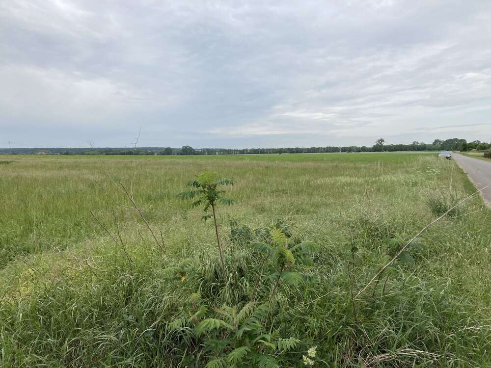 Thumbnail-Grundstück zu verkaufen in Siestedt 99.000,00 € 10000 m²