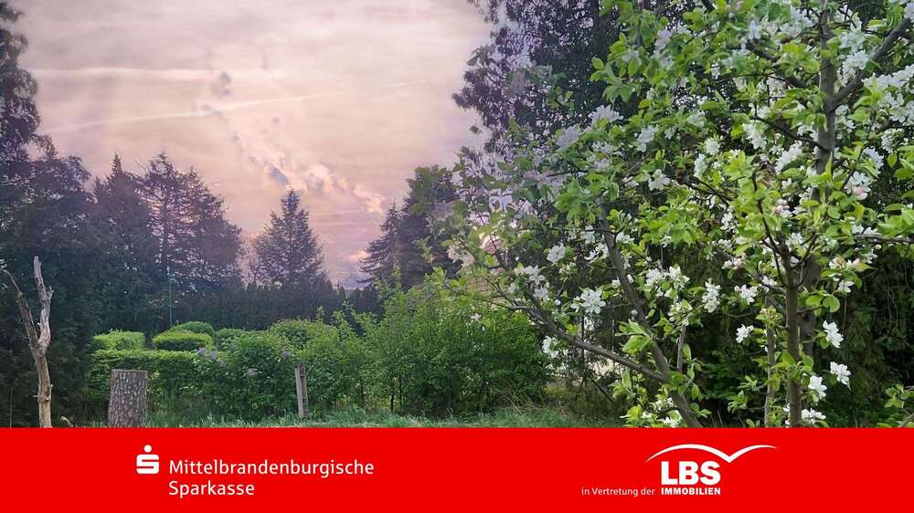 Thumbnail-Grundstück zu verkaufen in Biesenthal 105.000,00 € 351 m²