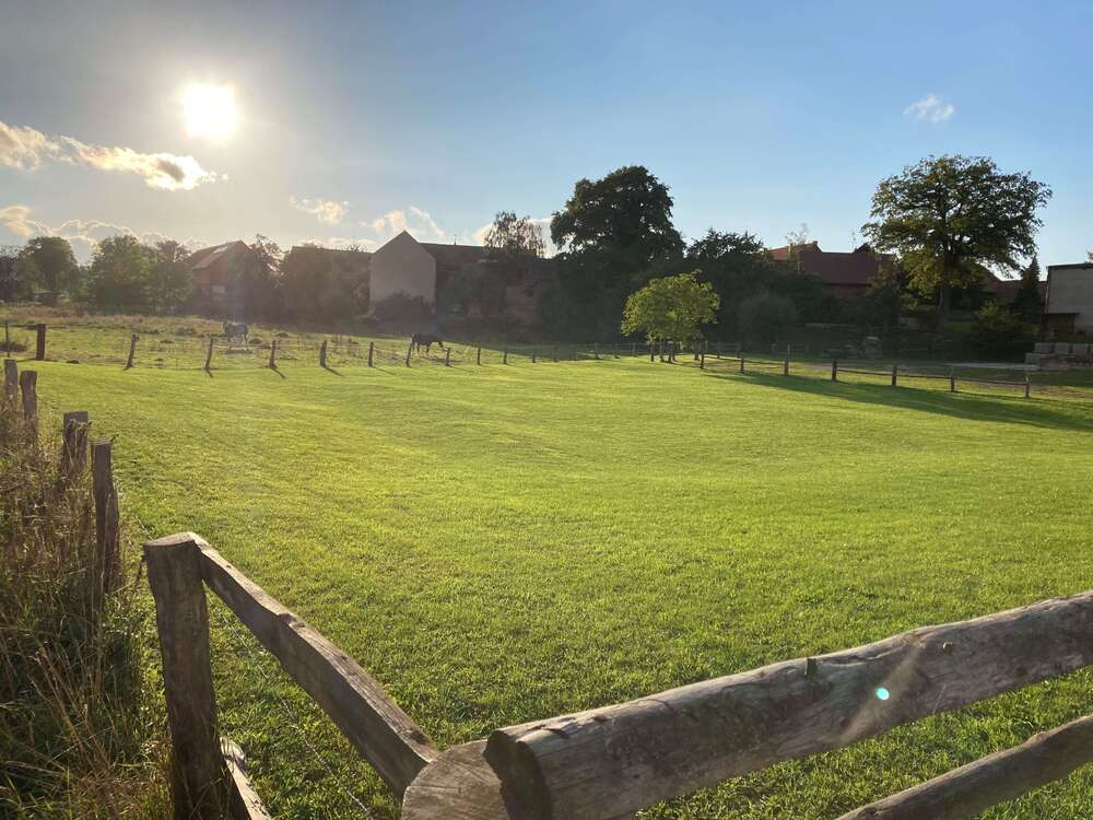Thumbnail-Grundstück zu verkaufen in Querenhorst 119.999,00 € 1429 m²