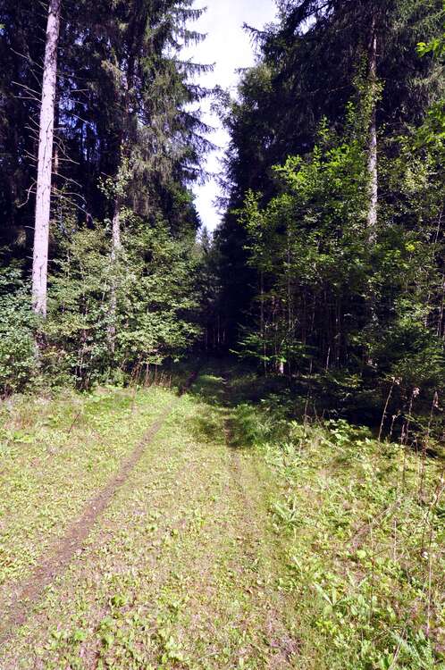 Thumbnail-Grundstück in Oberbiberg 123.000,00 € 10700 m²