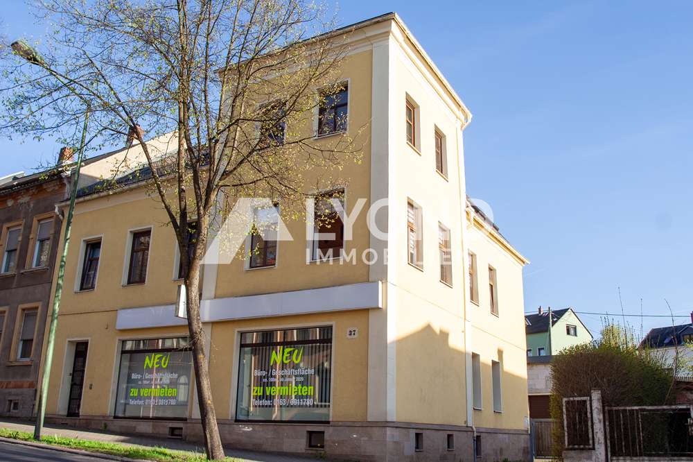 Thumbnail-Haus zum Kaufen in AuerbachVogtland 361.000,00 € 290 m²