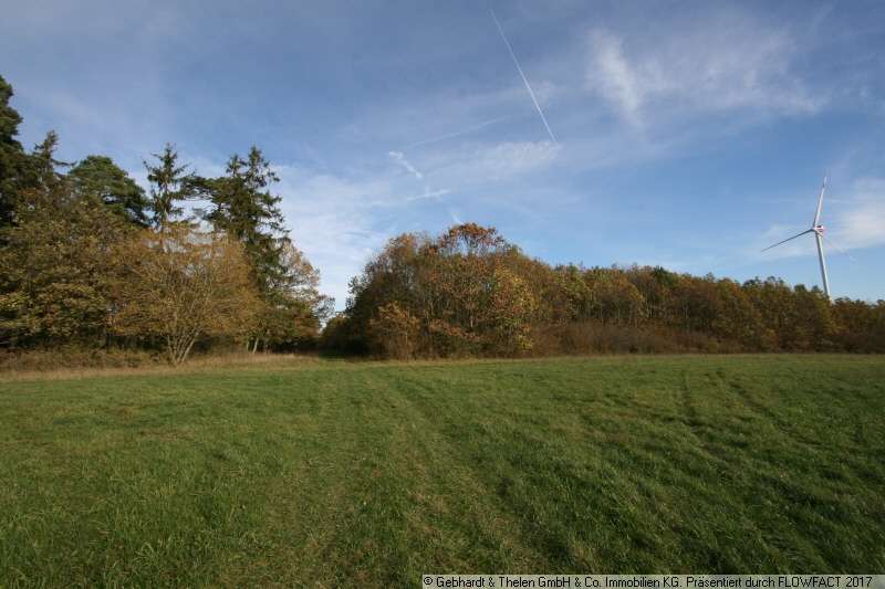 Thumbnail-Grundstück in St. Bernhard 245.000,00 € 92930 m²