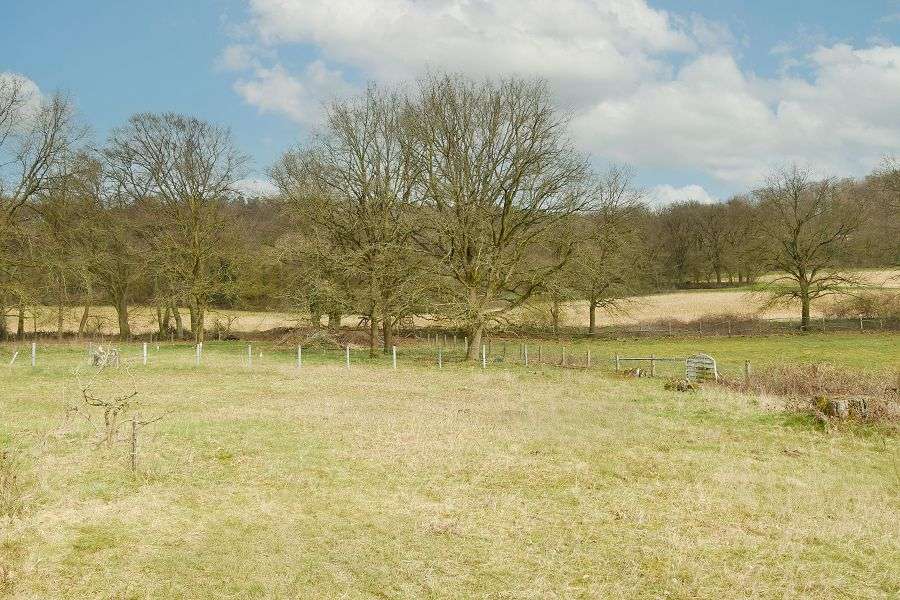 Thumbnail-Grundstück zu verkaufen in Steinhagen, Westfalen 350.000,00 € 1940 m²