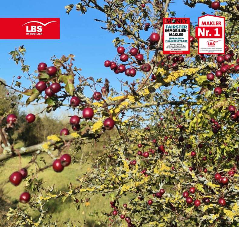 Thumbnail-Grundstück zu verkaufen in Berlin 207.000,00 € 470 m²