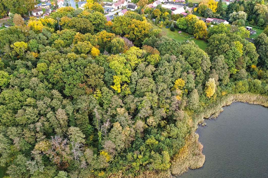 Thumbnail-Grundstück zu verkaufen in Storkow 9.500,00 € 6296 m²