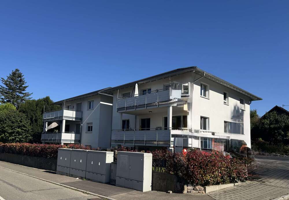 Thumbnail-Haus zum Kaufen in Buggingen 1.950.000,00 € 550 m²