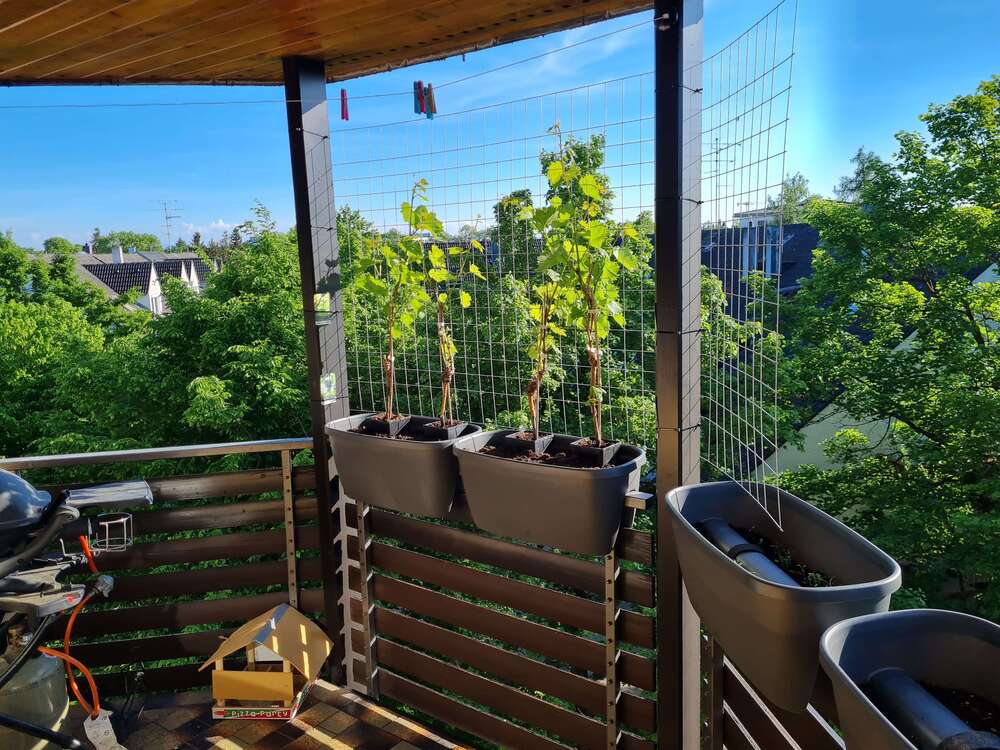 Thumbnail-Wohnung zum Mieten in Kirchheim b. München 1.600,00 € 92.09 m²