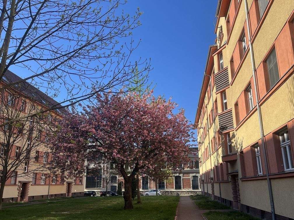 Thumbnail-Wohnung zum Kaufen in Leipzig 155.000,00 € 62.61 m²