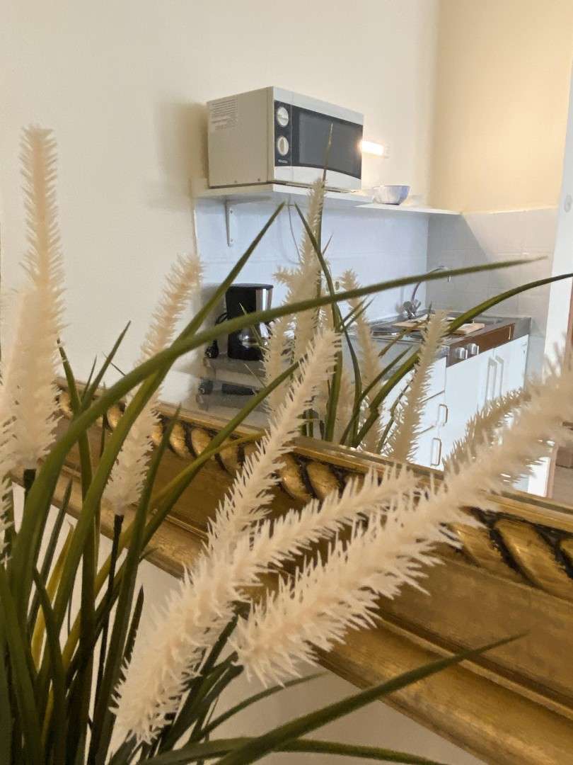 Thumbnail-Wohnung zum Mieten in Düsseldorf 850,00 € 27 m²