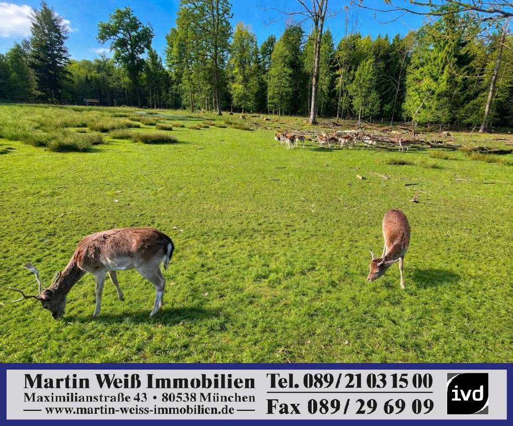 Thumbnail-Grundstück zu verkaufen in Grünwald 1.690.000,00 € 800 m²