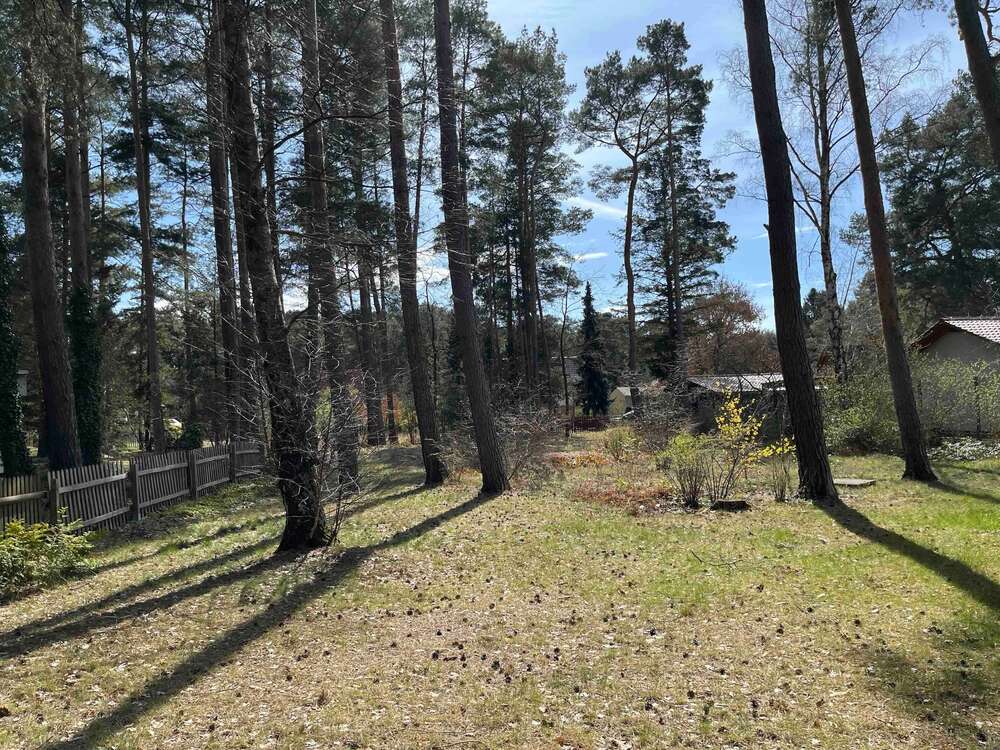 Thumbnail-Grundstück zu verkaufen in Borkheide 240.000,00 € 1413 m²