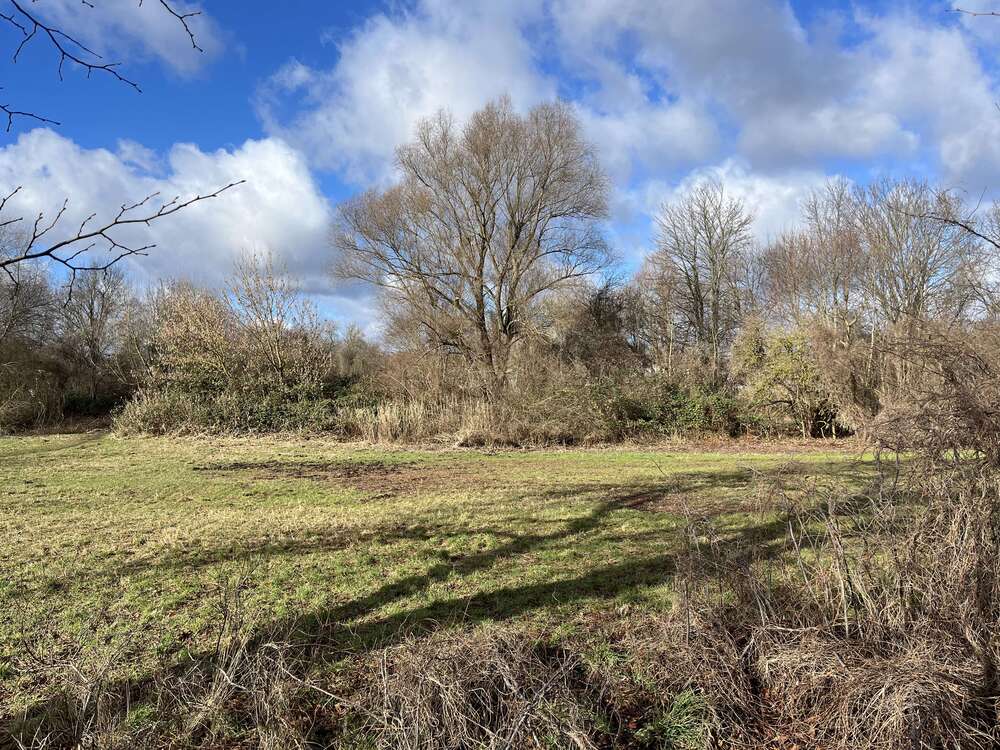 Thumbnail-Grundstück zu verkaufen in Teltow 1.300.000,00 € 2390 m²