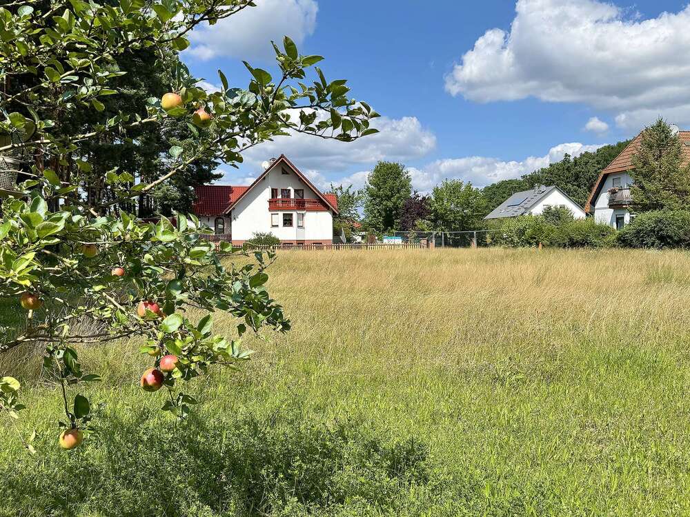 Thumbnail-Grundstück zu verkaufen in Heidesee 412.000,00 € 2150 m²