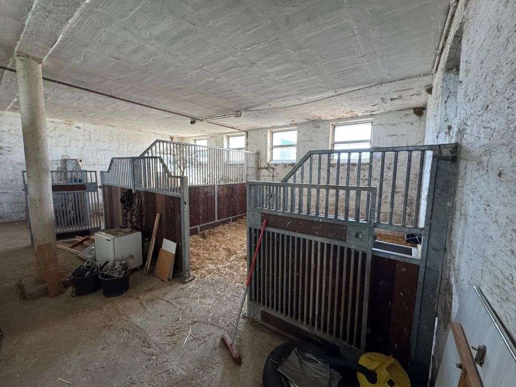 Thumbnail-Haus zum Kaufen in Münzenberg 785.000,00 € 162 m²