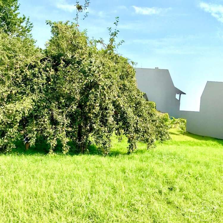 Thumbnail-Grundstück zu verkaufen in Viereth-Trunstadt 154.999,00 € 638 m²