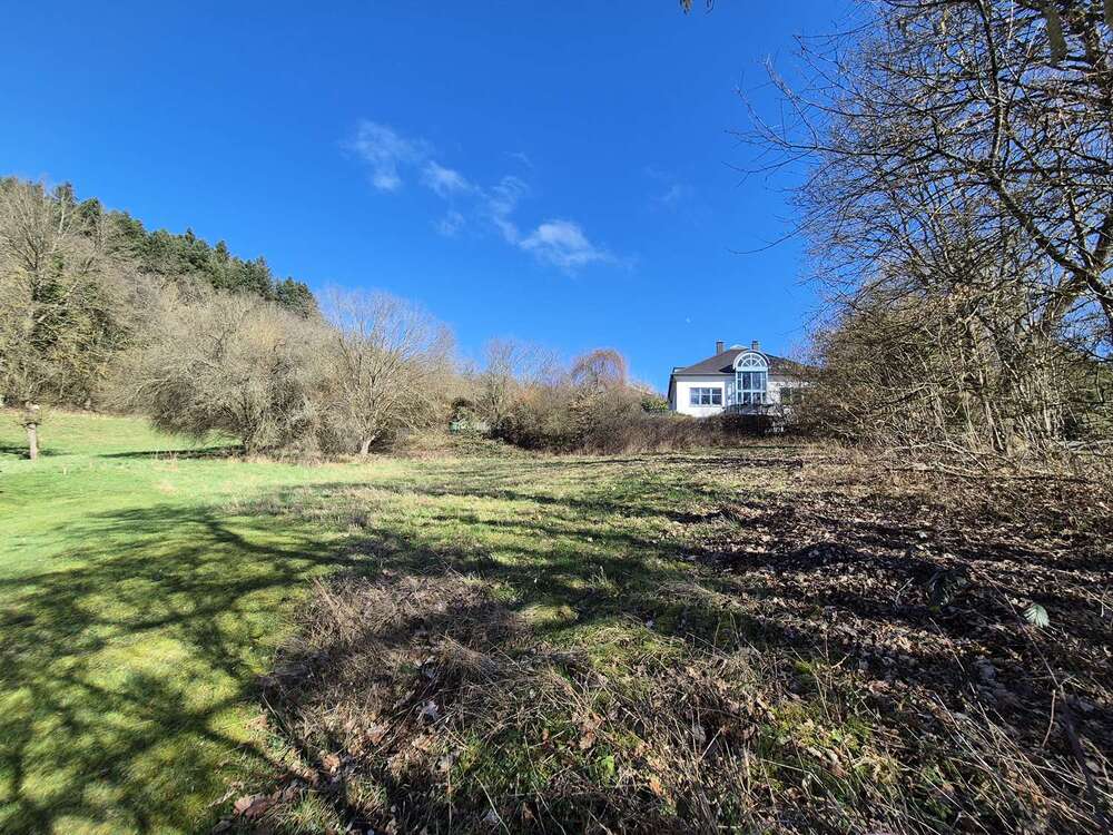 Thumbnail-Grundstück zu verkaufen in Kusel 290.000,00 € 1474 m²