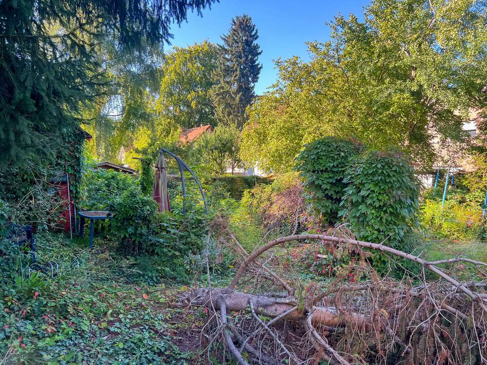 Thumbnail-Grundstück zu verkaufen in Berlin 369.000,00 € 600 m²