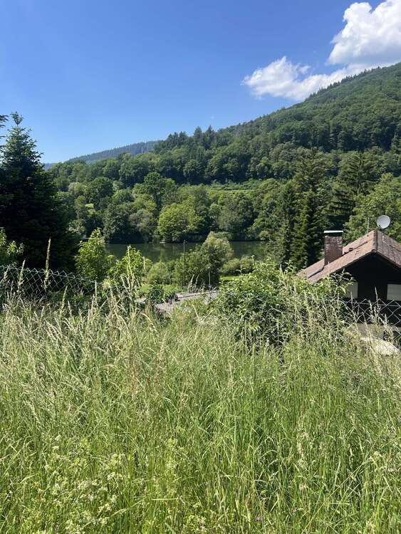 Thumbnail-Grundstück zu verkaufen in Neckargemünd 700.000,00 € 4000 m²
