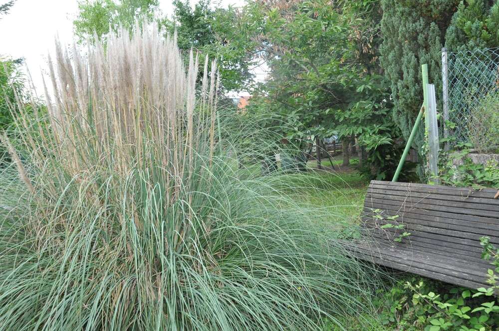 Thumbnail-Haus zum Kaufen in Sulzbach am Main 659.000,00 € 210 m²