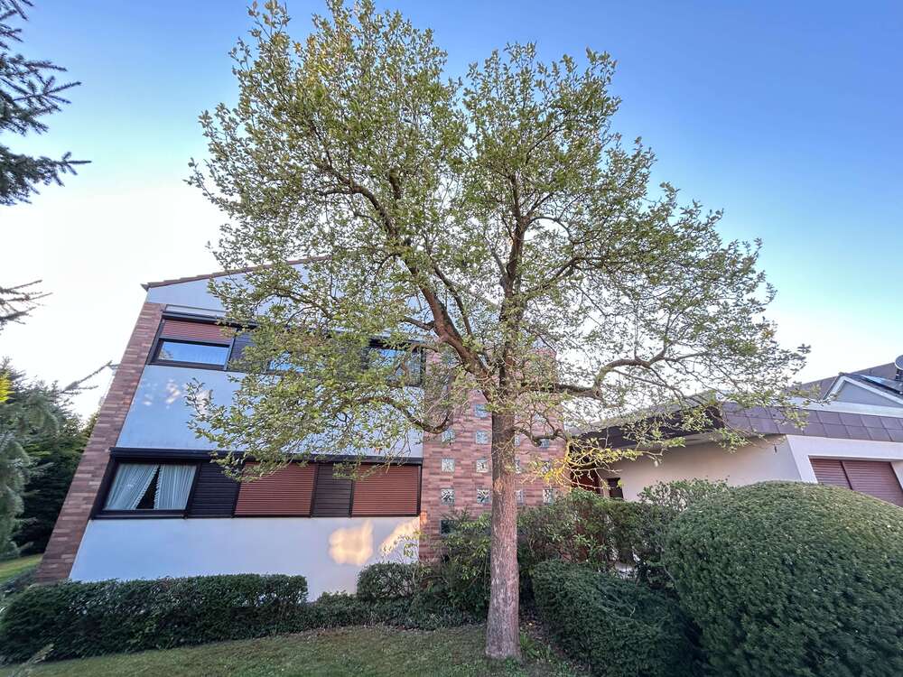 Thumbnail-Haus zum Kaufen in Warburg 399.000,00 € 267 m²