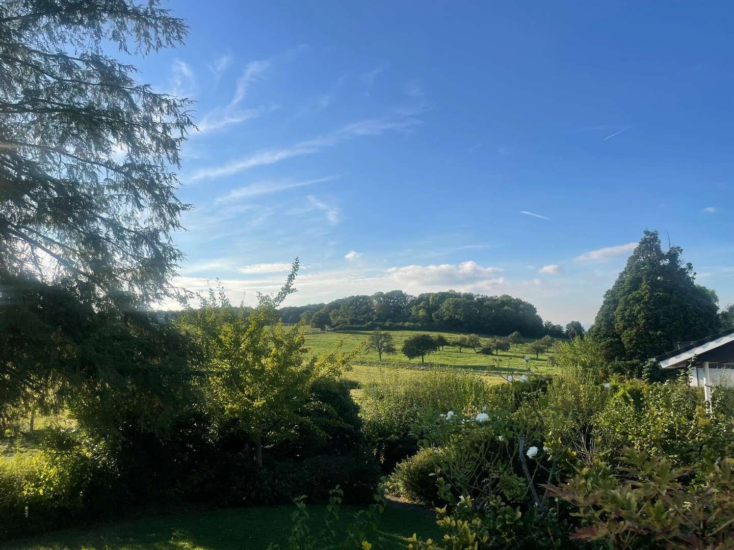 Thumbnail-Haus zum Kaufen in Roßdorf 985.000,00 € 206 m²