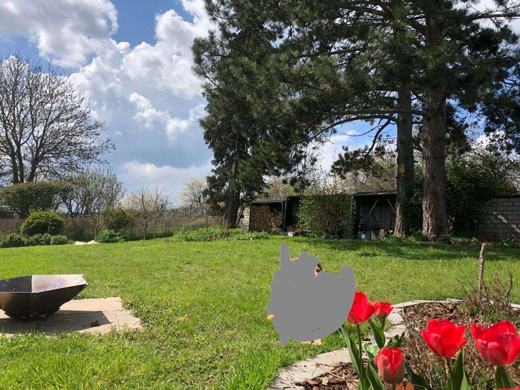 Thumbnail-Haus zum Mieten in Bad Nauheim 1.350,00 € 115 m²