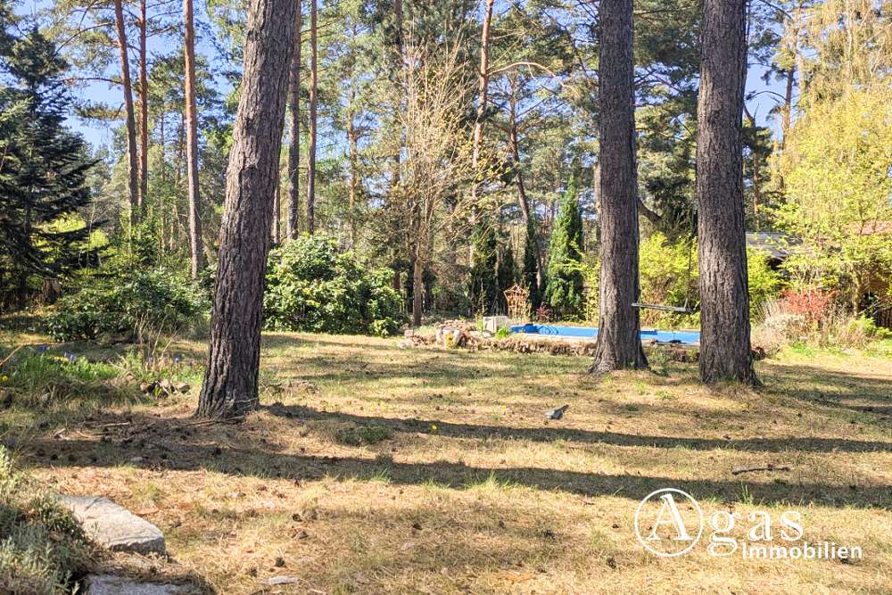 Thumbnail-Grundstück zu verkaufen in Mittenwalde 209.000,00 € 1570 m²