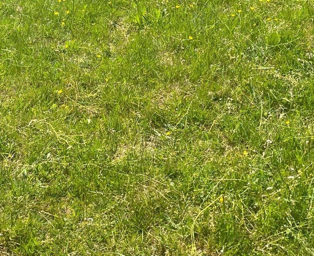 Thumbnail-Grundstück in Feldatal 25.150,00 € 5030 m²