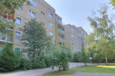 Thumbnail-Wohnung zum Mieten in Halle 300,00 € 39.54 m²