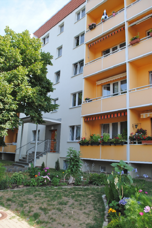 Thumbnail-Wohnung zum Mieten in Wernigerode 363,82 € 49.77 m²