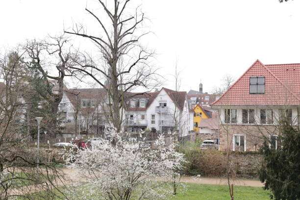 Thumbnail-Haus zum Kaufen in Rüsselsheim 1.050.000,00 € 235 m²