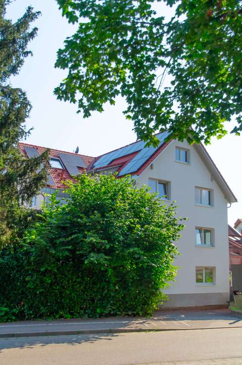 Thumbnail-Wohnung zum Mieten in Freiburg 670,00 € 24 m²