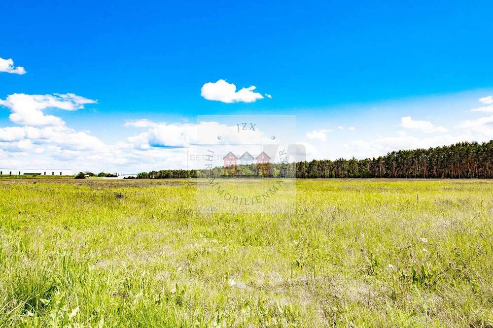 Thumbnail-Grundstück in Jessen (Elster) 110.000,00 € 3721 m²
