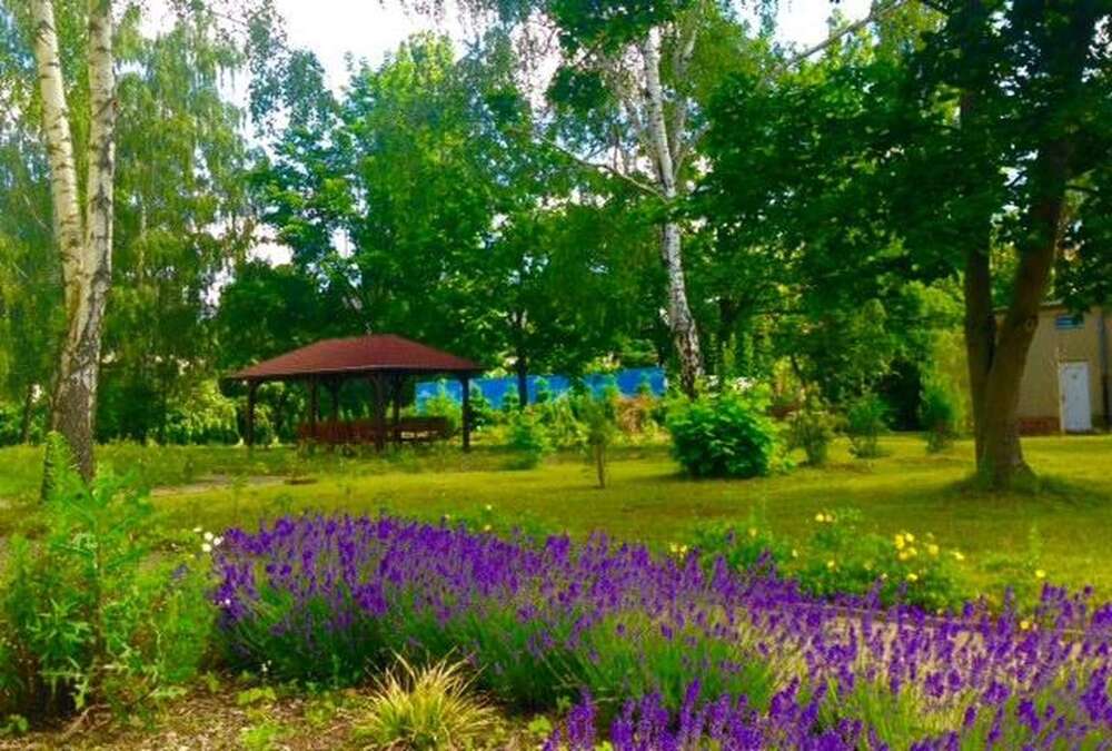 Thumbnail-Wohnung zum Mieten in Eilenburg 330,00 € 23 m²