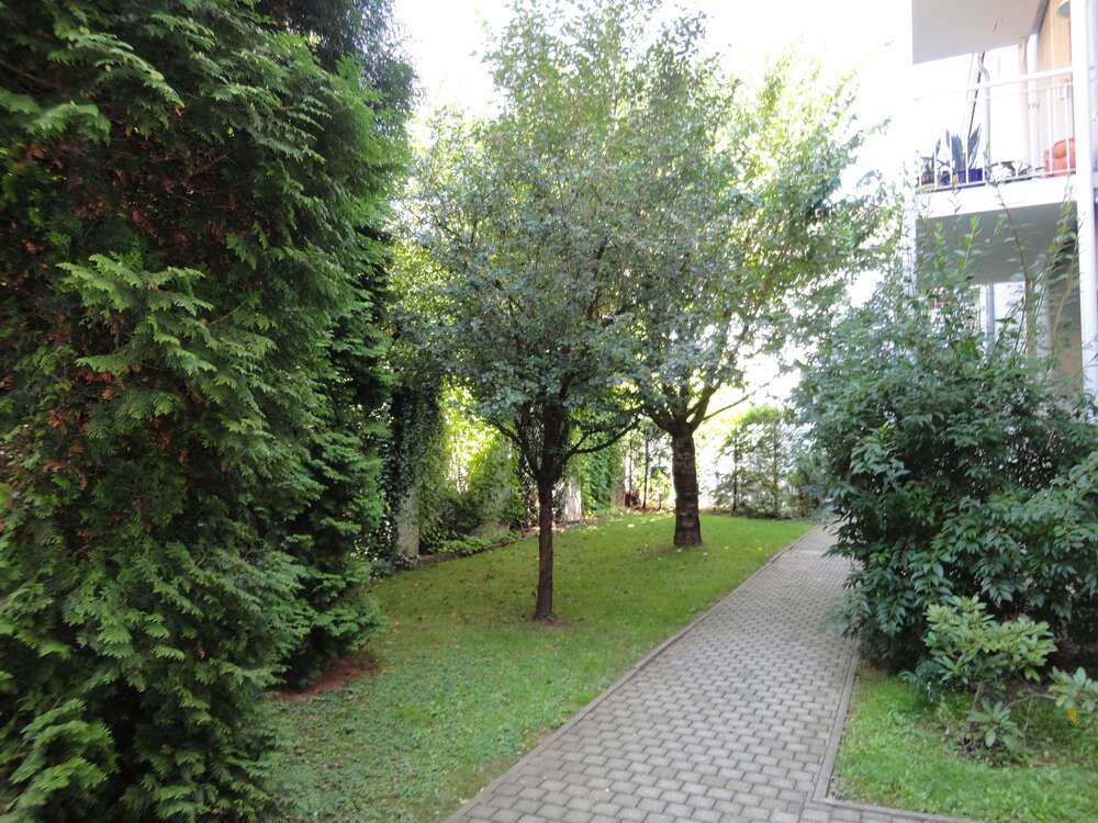 Thumbnail-Wohnung zum Mieten in Zwickau 247,00 € 58 m²