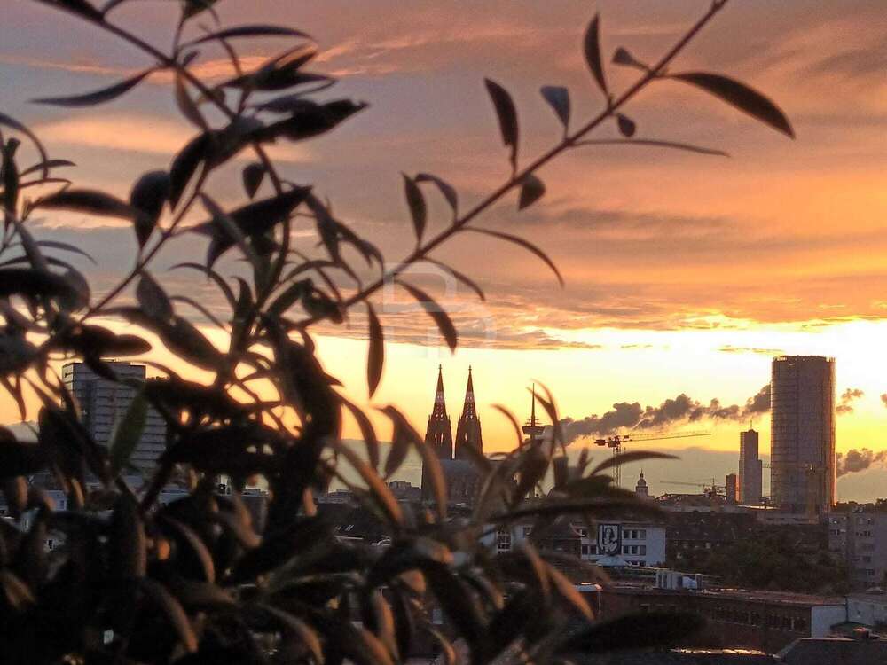 Thumbnail-Wohnung zum Kaufen in Köln 380.000,00 € 65 m²