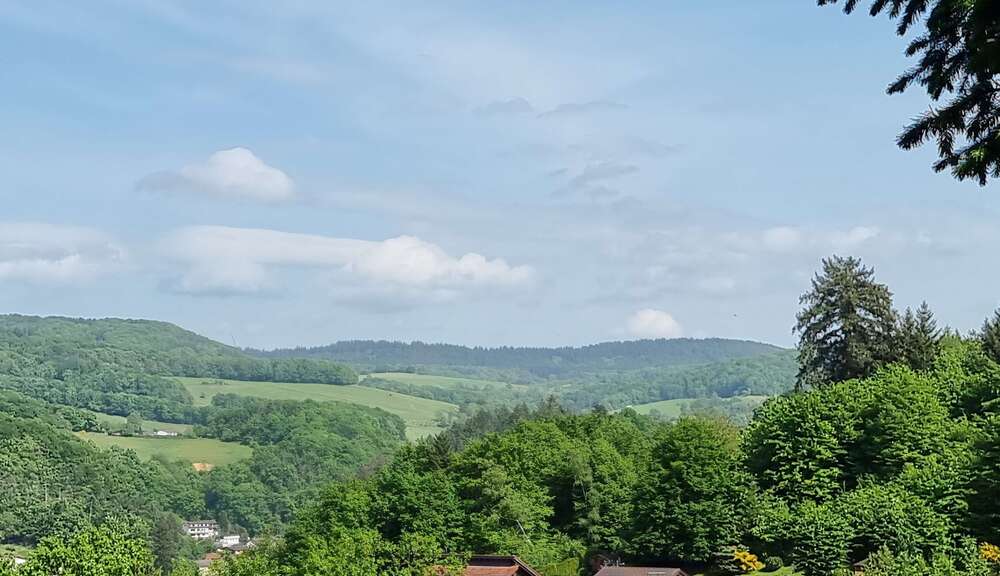 Thumbnail-Grundstück zu verkaufen in Gorxheimertal 340.000,00 € 1073 m²